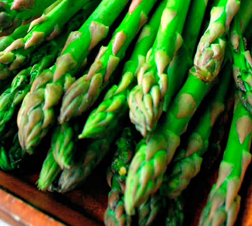 Espárrago